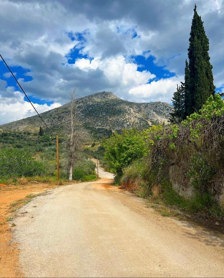 Sunny House At Ancient Mycenae, Close To Nafplio! Mykines Zewnętrze zdjęcie